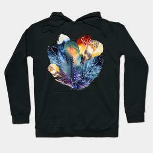 Graphic Colorful feathers for good luck Hoodie